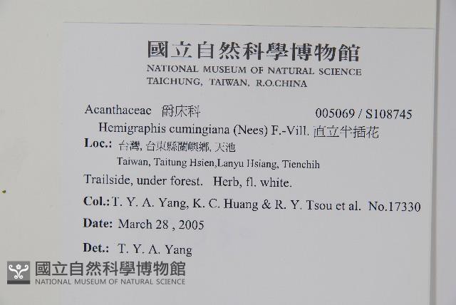 直立半插花藏品圖，第2張