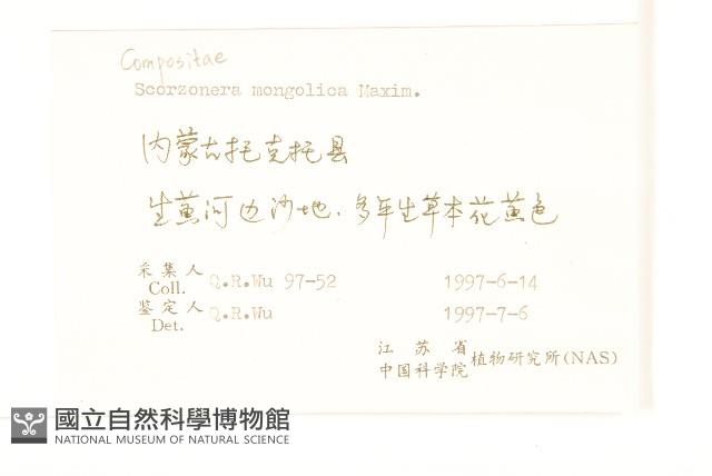 蒙古鴉蔥藏品圖，第2張