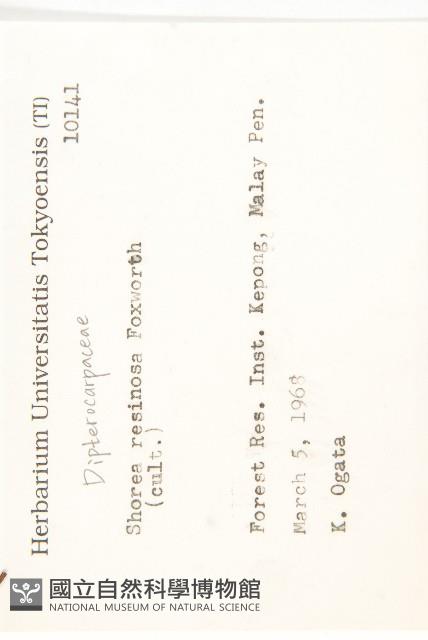 登錄號:S082145藏品圖，第2張