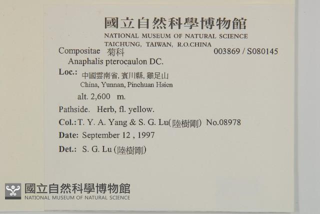 登錄號:S080145藏品圖，第2張