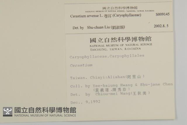 卷耳藏品圖，第2張