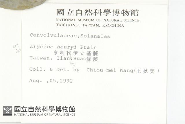 亨利氏伊立基藤藏品圖，第2張