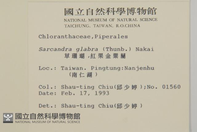 臺灣及己藏品圖，第2張