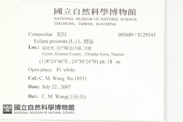 鱧腸藏品圖，第2張