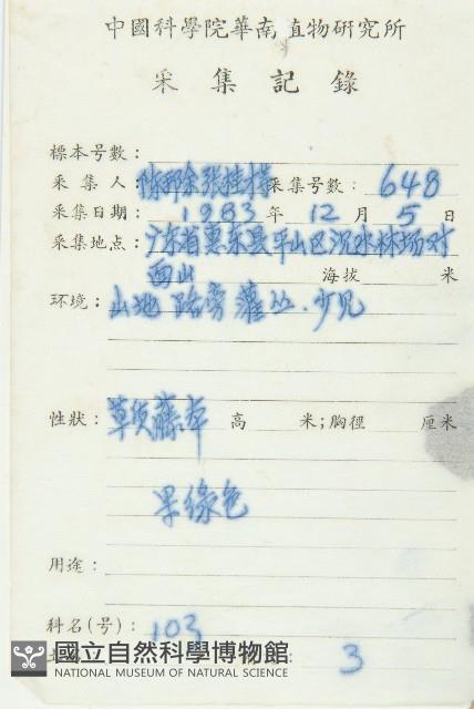 馬交兒藏品圖，第2張