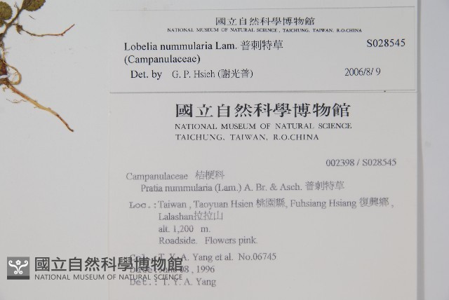 普刺特草藏品圖，第2張
