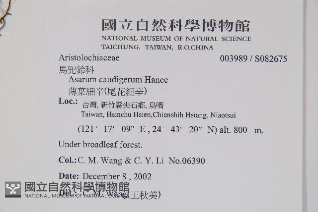 Accession Number:S082675 Collection Image, Figure 2, Total 2 Figures