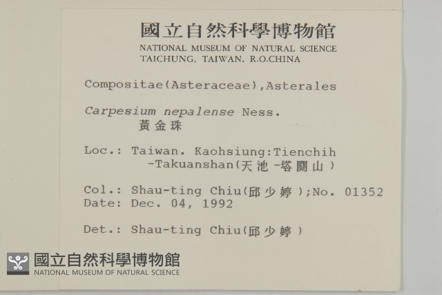 黃金珠藏品圖，第2張