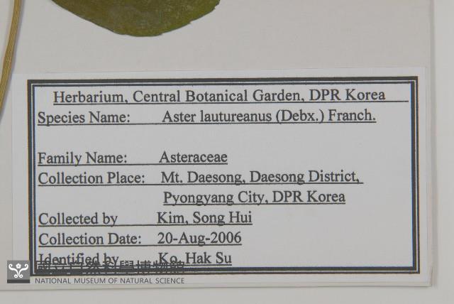 山馬蘭藏品圖，第2張