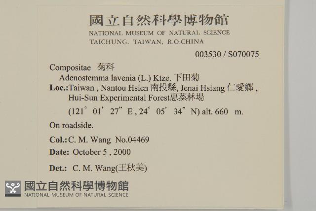 下田菊藏品圖，第2張