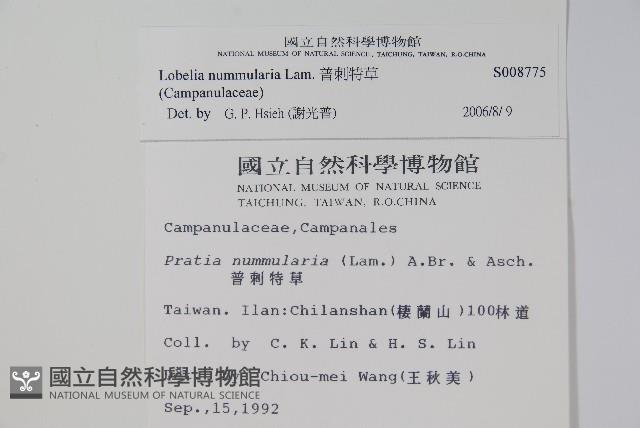 普刺特草藏品圖，第2張