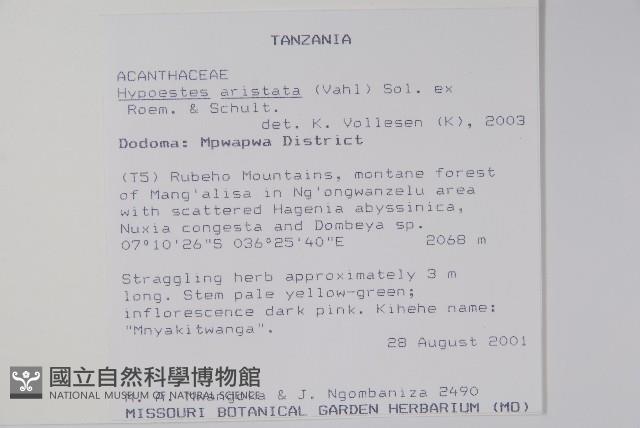 Accession Number:S093775 Collection Image, Figure 2, Total 2 Figures