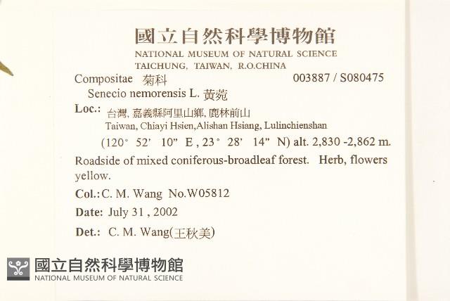 黃菀藏品圖，第2張