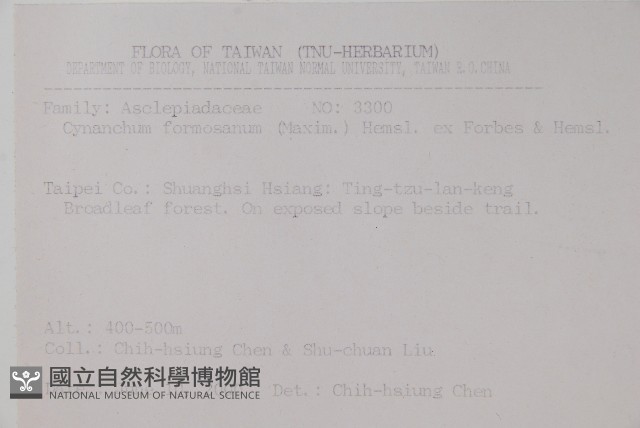 臺灣牛皮消、臺灣白薇藏品圖，第2張