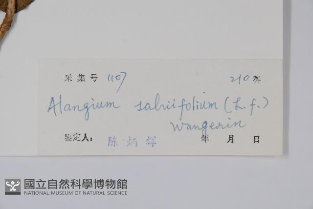 土壇樹藏品圖，第2張