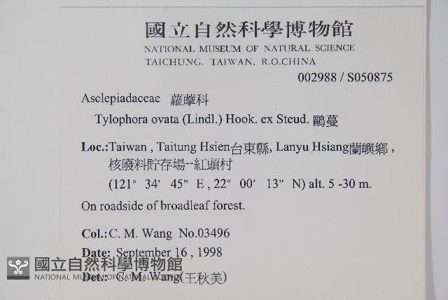 鷗蔓藏品圖，第2張