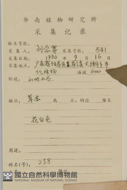 下田菊藏品圖，第2張