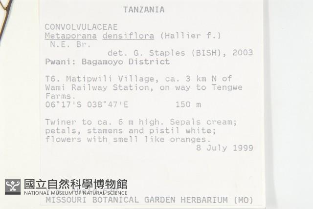 登錄號:S093975藏品圖，第2張