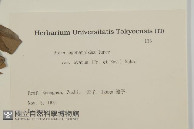 登錄號:S082085藏品圖，第2張