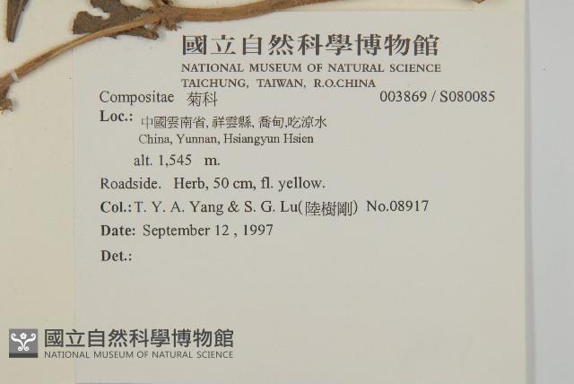 登錄號:S080085藏品圖，第2張