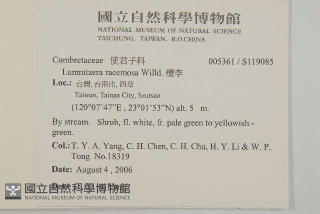 欖李藏品圖，第5張