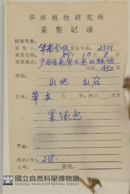 燈豎朽藏品圖，第2張