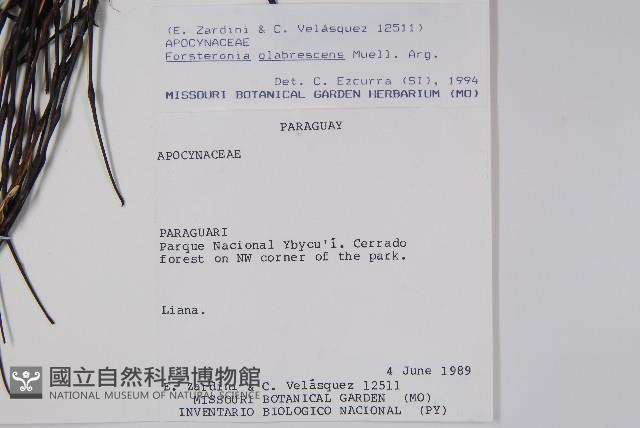 登錄號:S062285藏品圖，第2張