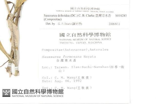 臺灣青木香藏品圖，第2張