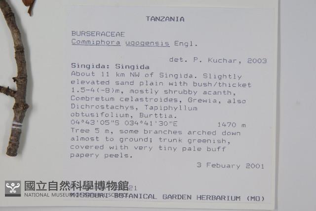 登錄號:S094285藏品圖，第2張