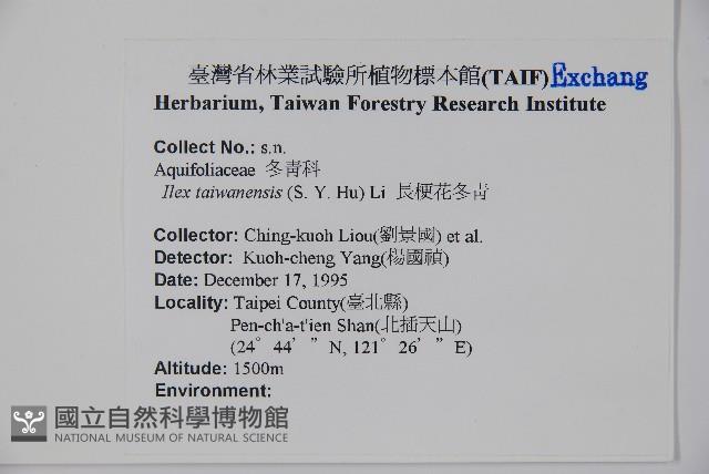 長梗花冬青藏品圖，第2張