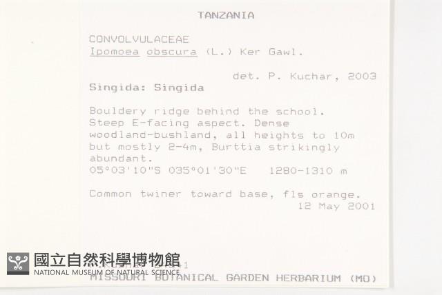 野牽牛藏品圖，第2張