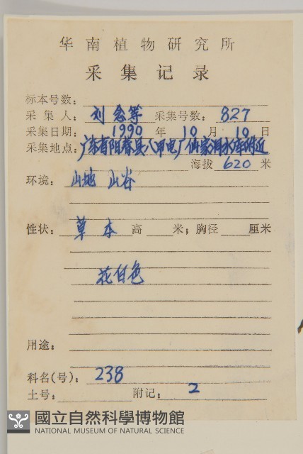 角菜、珍珠菜藏品圖，第2張