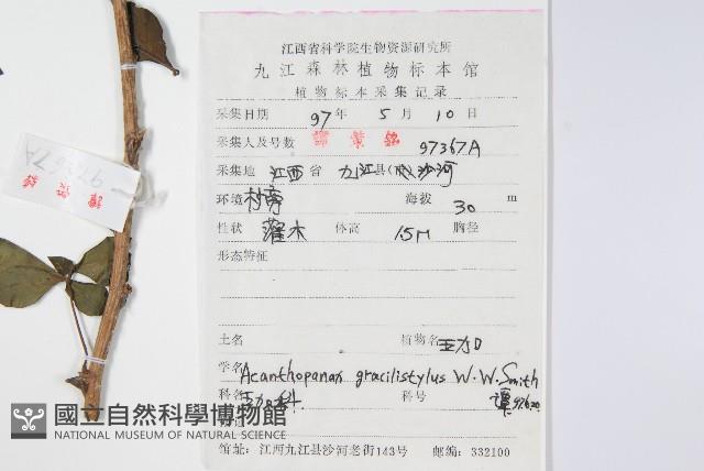 五加藏品圖，第2張