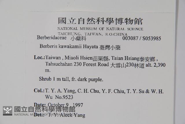 臺灣小蘗藏品圖，第2張