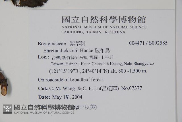 破布烏藏品圖，第2張