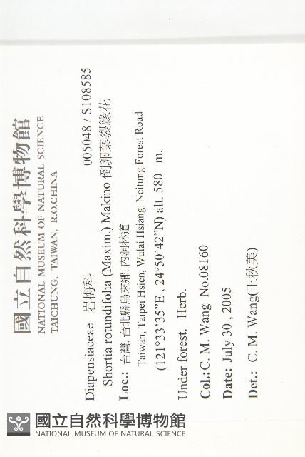 倒卵葉裂緣花藏品圖，第2張