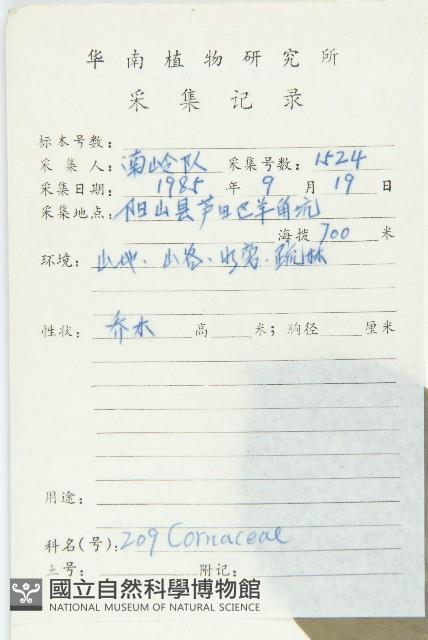 香港四照花藏品圖，第2張