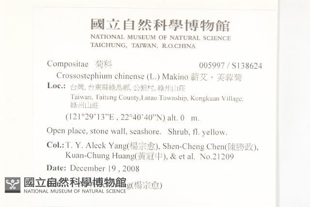 蘄艾、芙蓉菊藏品圖，第2張