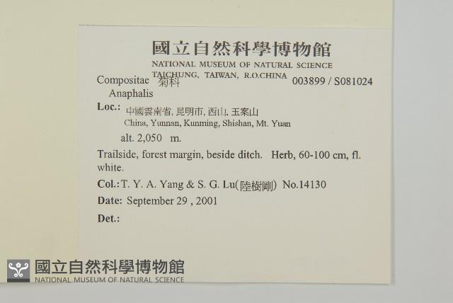 登錄號:S081024藏品圖，第2張