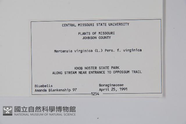 登錄號:S080724藏品圖，第2張