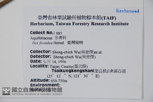 臺灣糊樗藏品圖，第2張