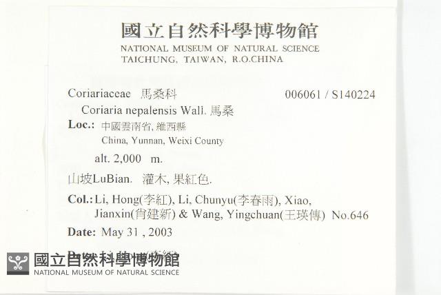 馬桑藏品圖，第2張