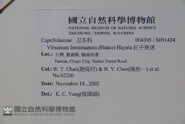 紅子莢迷藏品圖，第2張