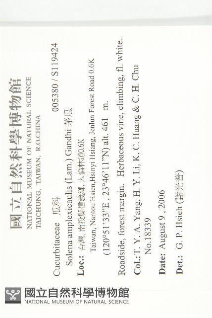 茅瓜藏品圖，第5張