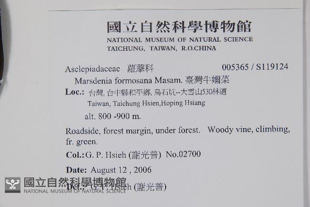 臺灣牛嬭菜藏品圖，第2張