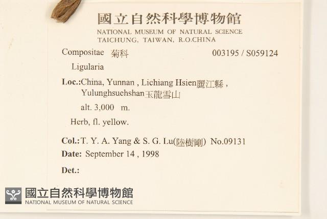 登錄號:S059124藏品圖，第2張