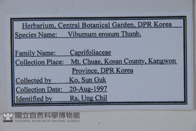 松田氏莢迷、宜昌莢迷藏品圖，第2張