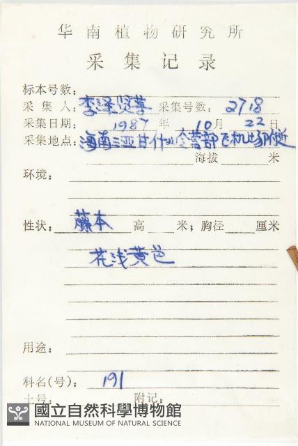 角花胡頹子藏品圖，第2張