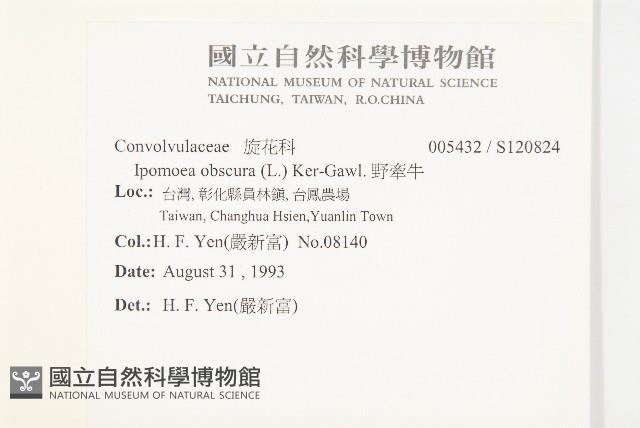 野牽牛藏品圖，第2張