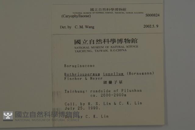 登錄號:S000824藏品圖，第2張